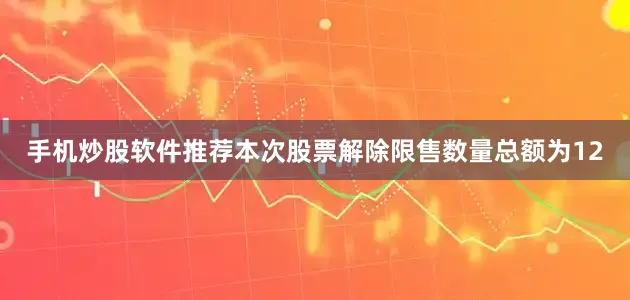 手机炒股软件推荐本次股票解除限售数量总额为12
