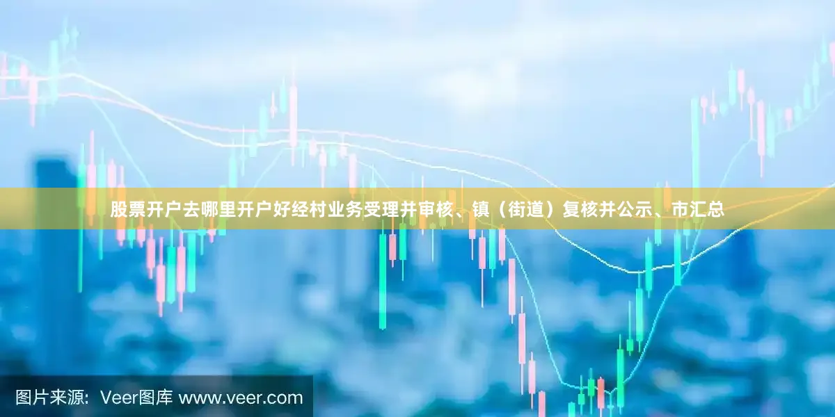 股票开户去哪里开户好经村业务受理并审核、镇（街道）复核并公示、市汇总