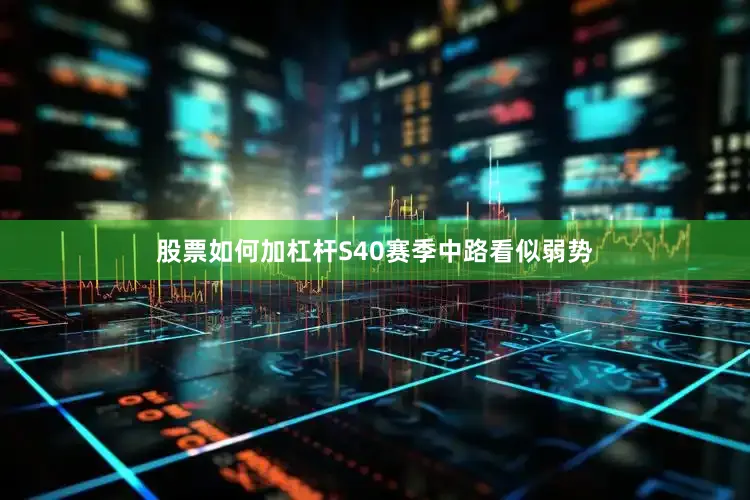 股票如何加杠杆S40赛季中路看似弱势