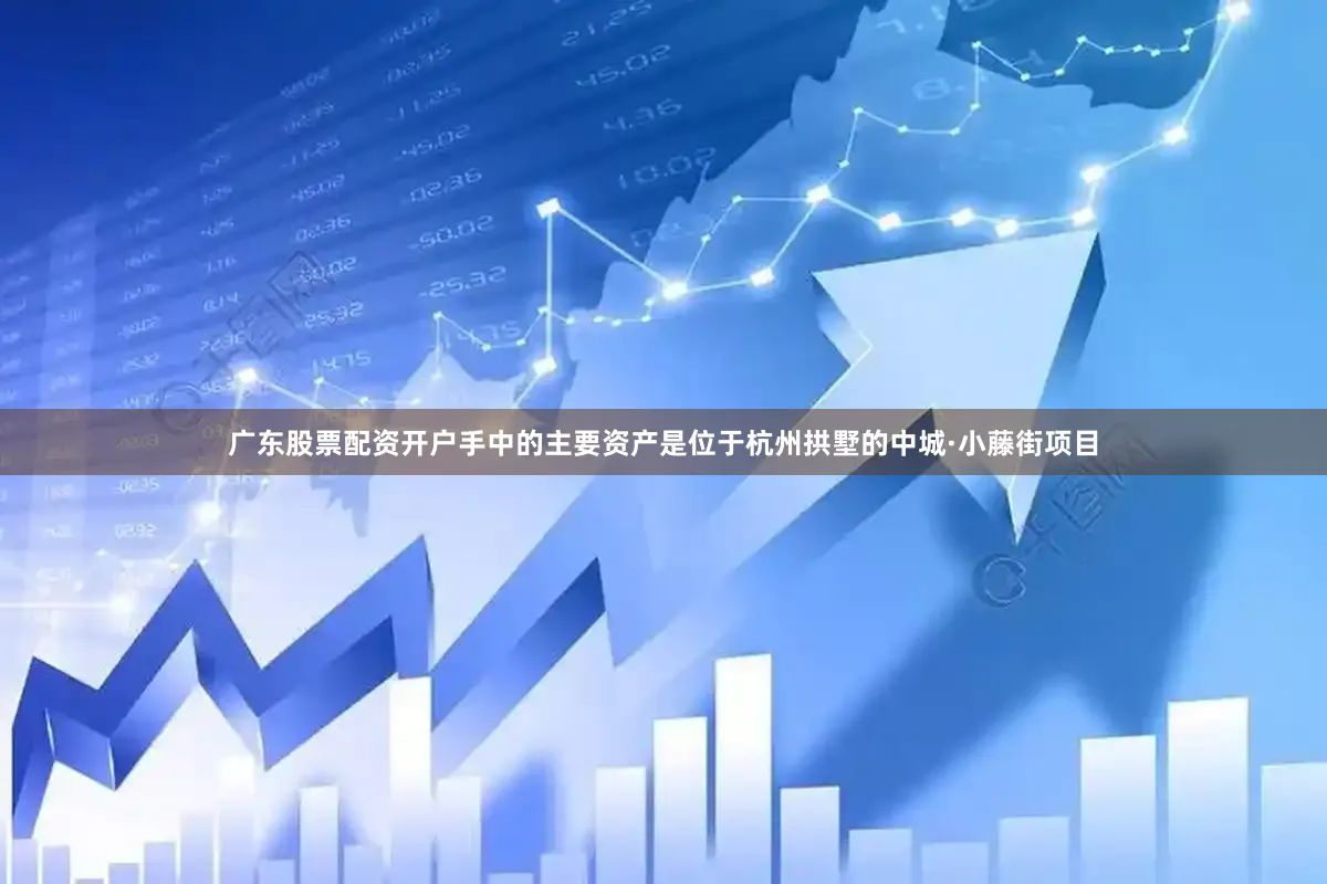 广东股票配资开户手中的主要资产是位于杭州拱墅的中城·小藤街项目